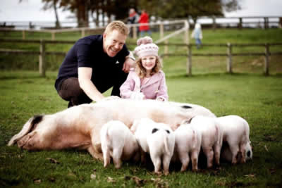 cotswold-farm-park