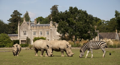 Cotswolds Tourist Guide